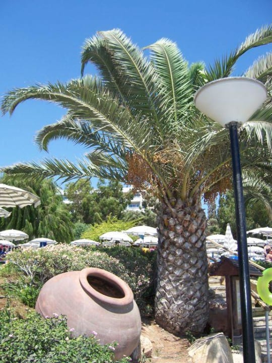 Hotelgarten Mediterranean Beach Hotel