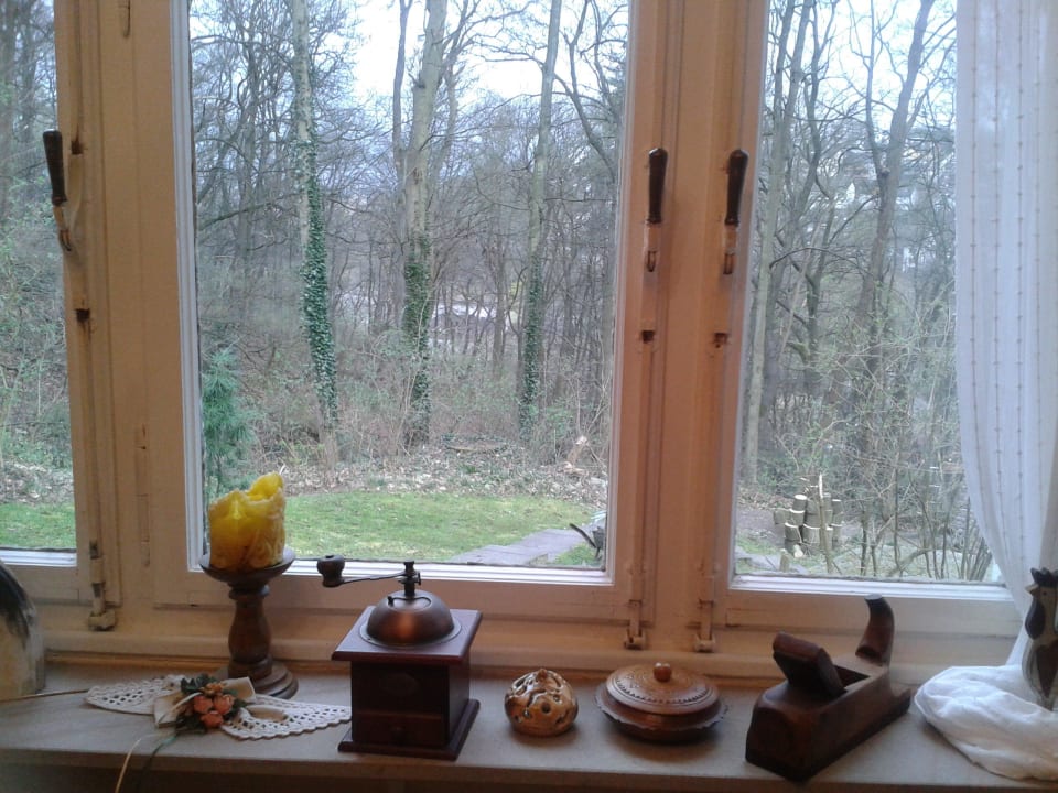 Blick aus dem "Küchenfenster" Ferienhaus Alm