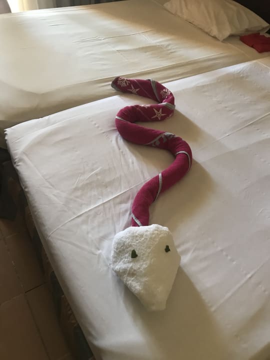 Zimmer Stella Beach Resort & Spa Makadi Bay