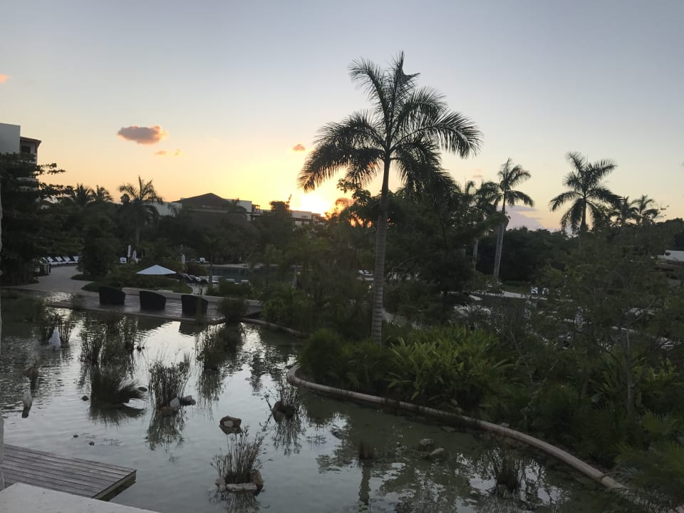 Ausblick aus dem Zimmer am frühen Morgen Secrets Akumal Riviera Maya - Adults only