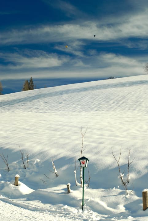 Vor dem Hotel Hotel Neubergerhof