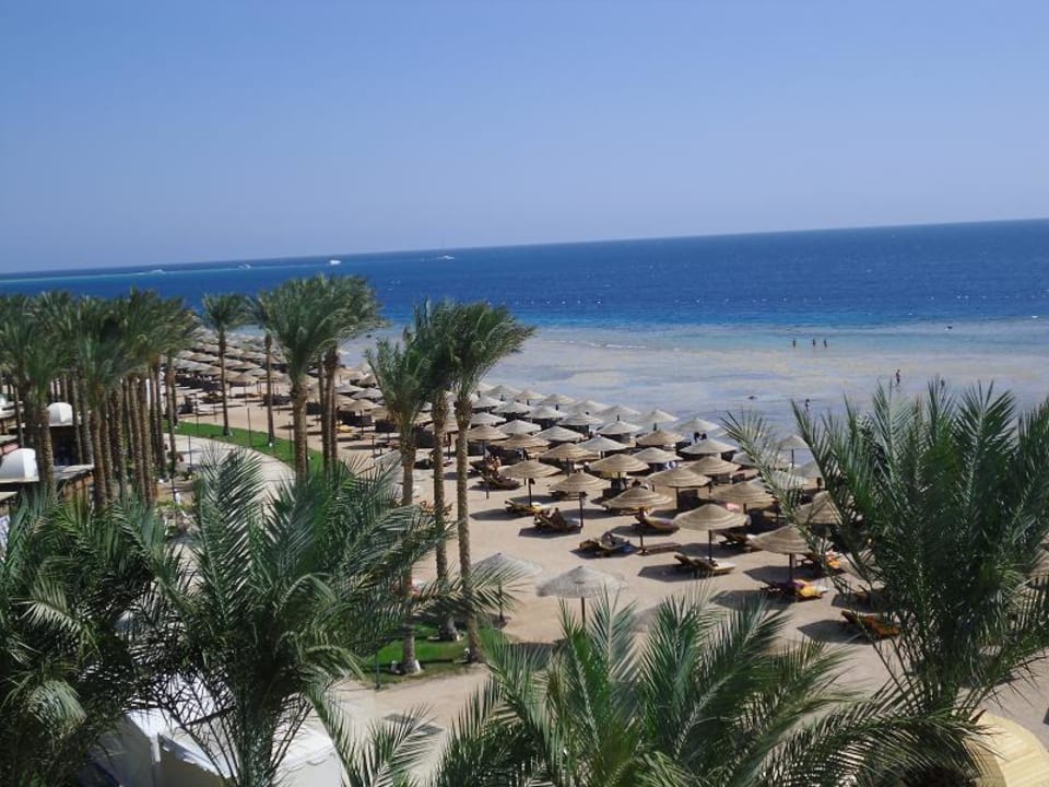 Strand mit Sonnenliegen Makadi Palace