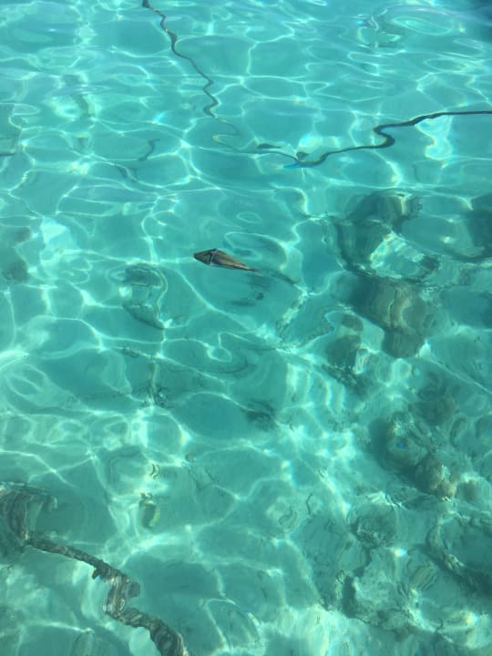 Strand Reef Oasis Beach Resort