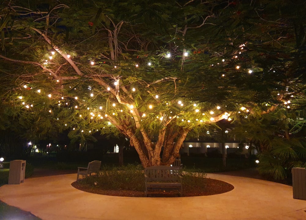 Gartenanlage Secrets La Romana Resort & Spa - Adult Only
