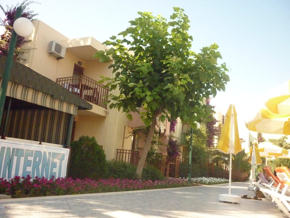 Blick vom Liegestuhl ;) VONRESORT Golden Beach