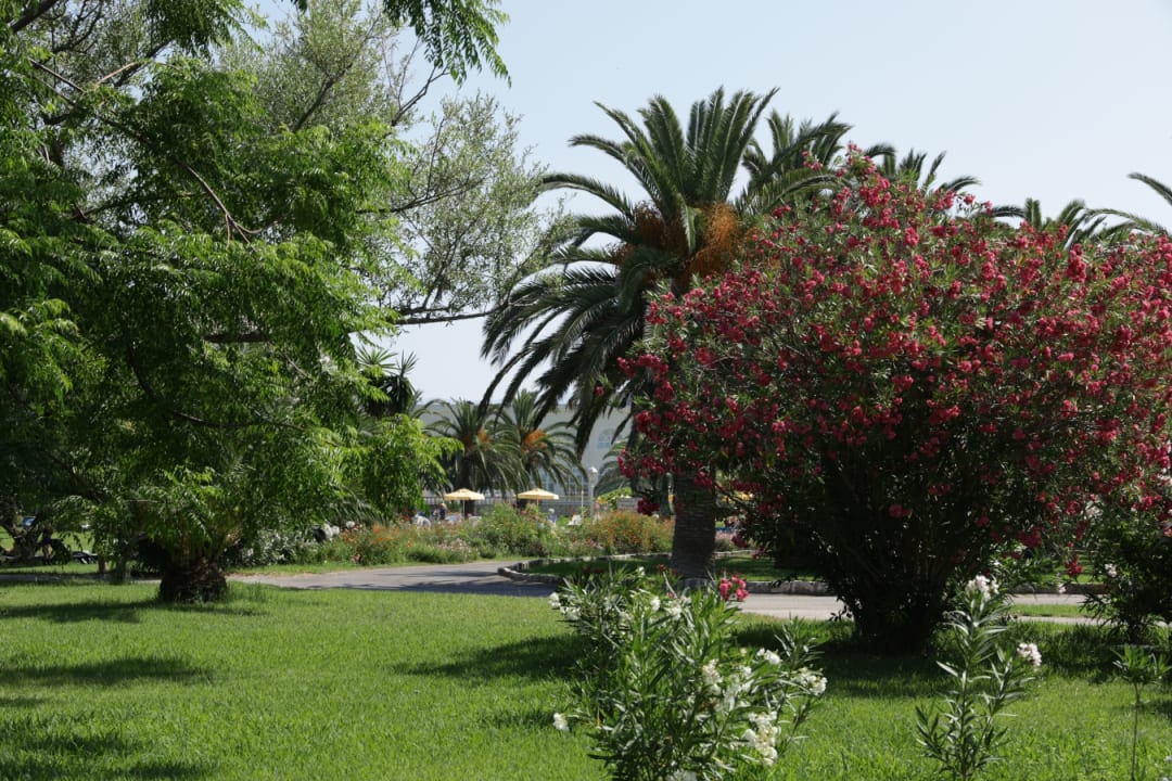 Gartenanlage St. George's Bay Country Club