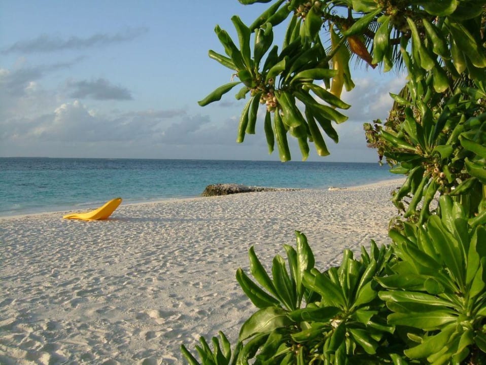 Unser Strandabschnitt Lily Beach Resort & Spa