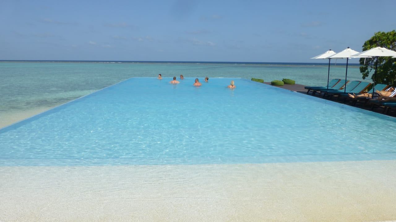 Pool Summer Island Maldives