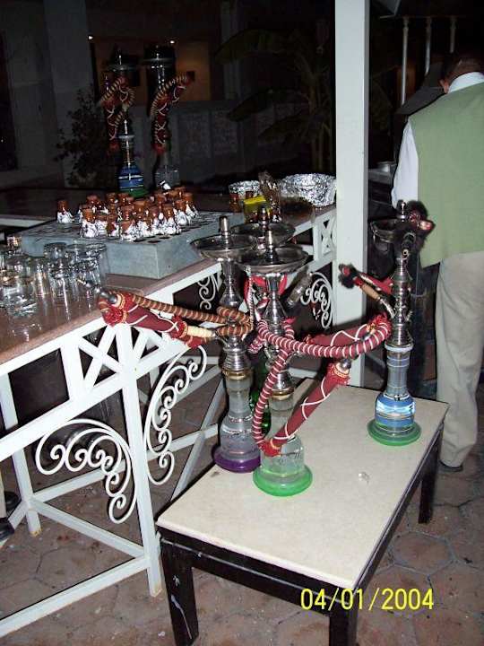 Shisha / Wasserpfeife Hotel Reef Oasis Palms