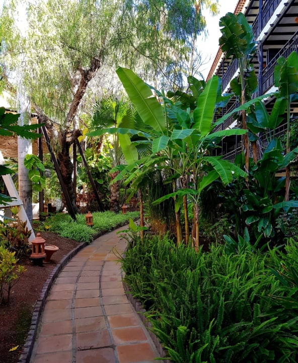 Ausblick Hotel Parque Tropical