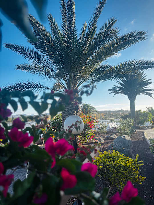 Gartenanlage Sotavento Beach Club