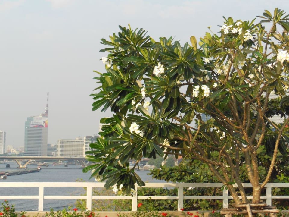 City und Fluss Chatrium Hotel Riverside Bangkok