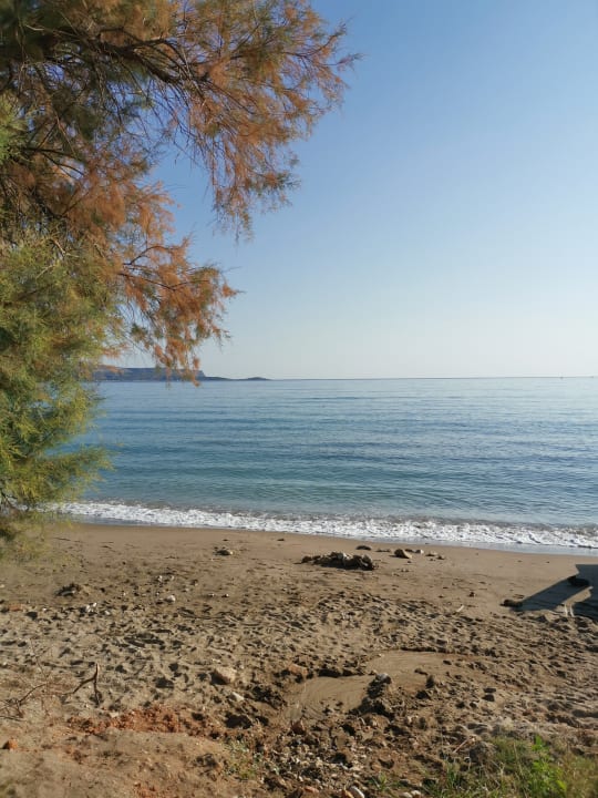 Strand Kiani Beach Resort Family All Inclusive