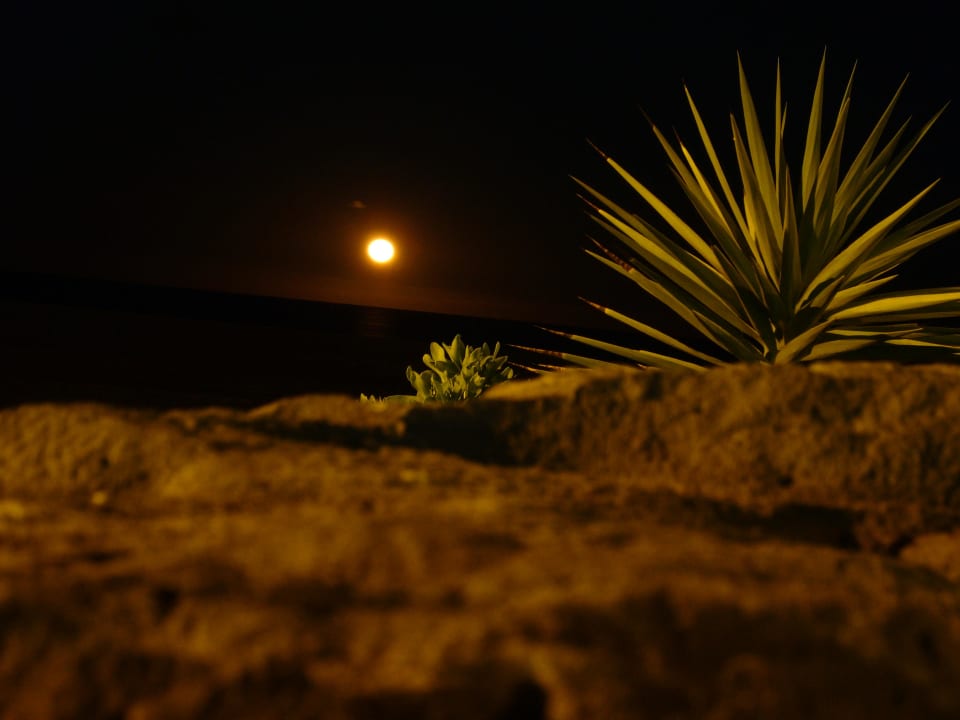 Mondaufgang Hotel Las Costas