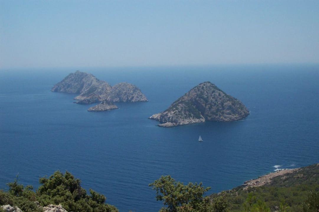 View HavaSu Park Bungalow