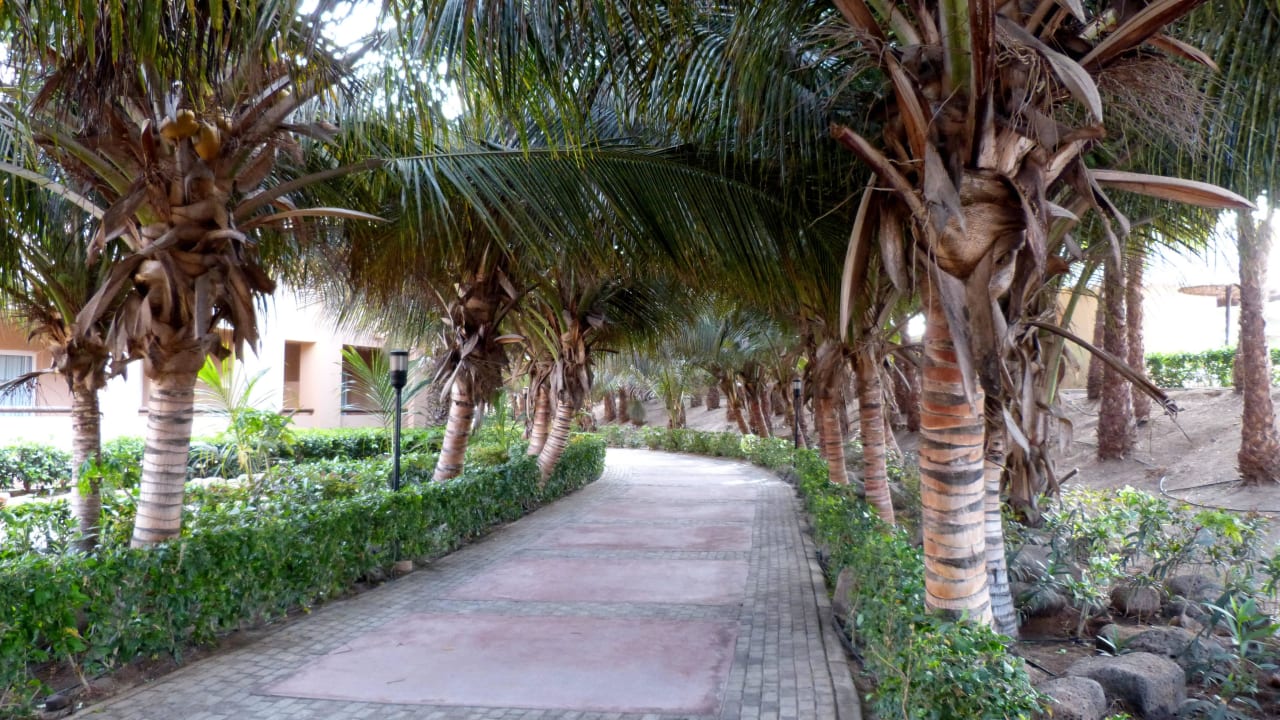 Anlage Hotel Riu Funana
