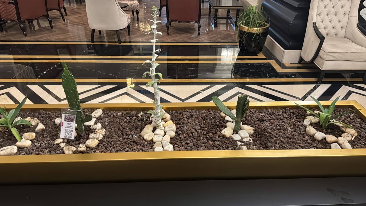 Lobby Mary Hotel Side