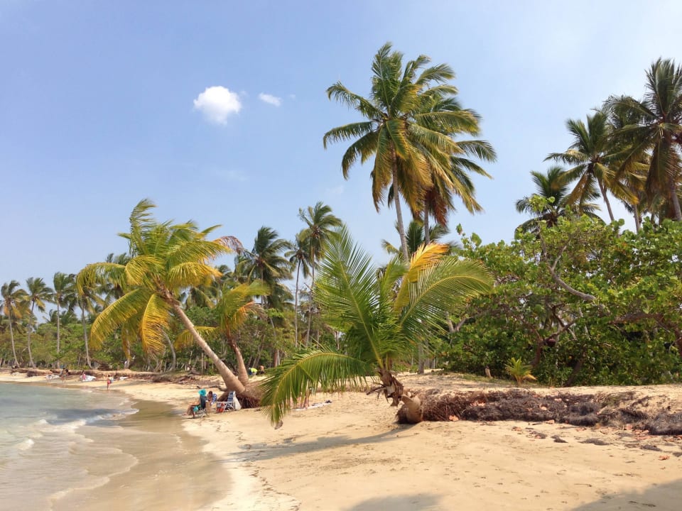 Strand links vom Hotel Bahia Principe Grand El Portillo