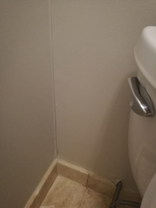 Zimmer The Wagner Hotel