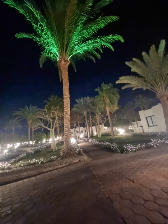 Gartenanlage Pharaoh Azur Resort