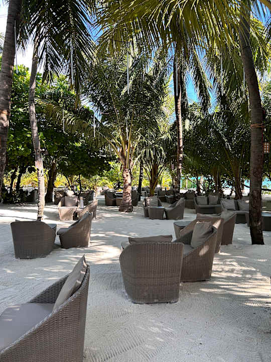 Gartenanlage Hotel Riu Atoll