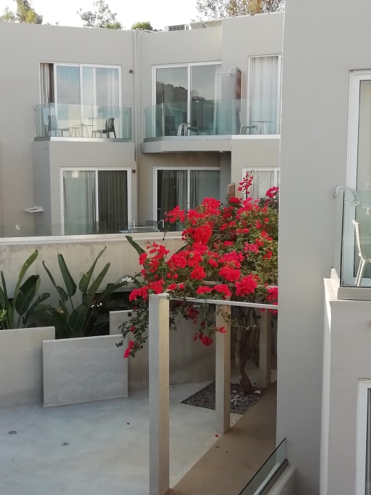 Ausblick Nefeli Hotel Rethymno