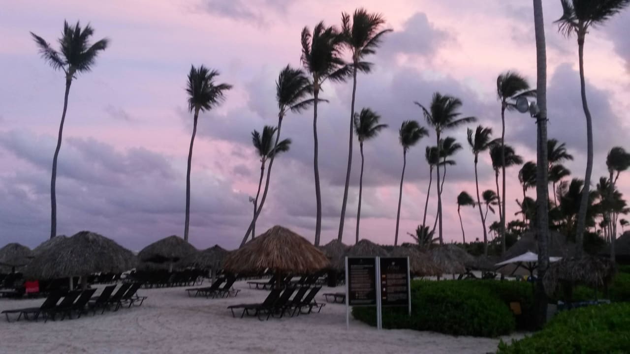 Plaza Dreams Royal Beach Punta Cana