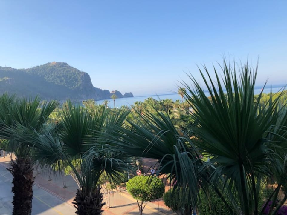 Ausblick Gardenia Hotel