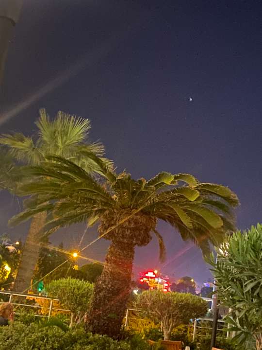 Ausblick Side Star Elegance