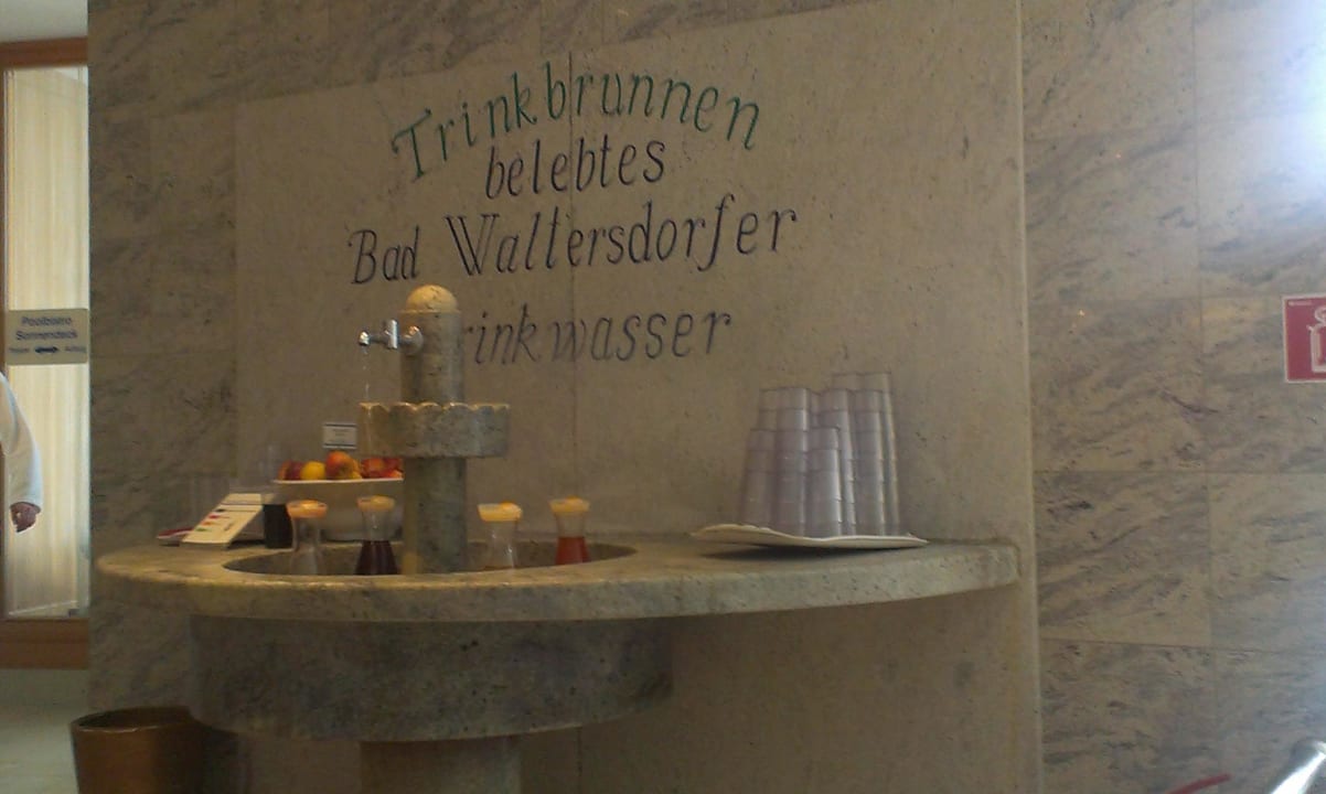 Trinkbrunnen Hotel & Spa Der Steirerhof Bad Waltersdorf