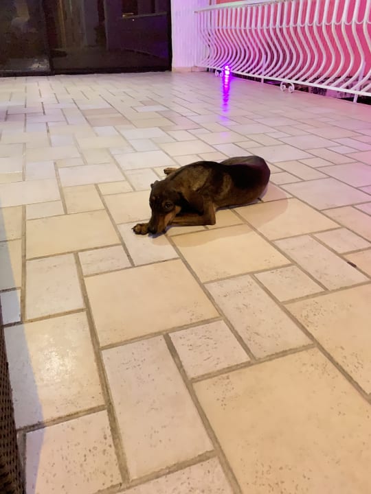 Sonstiges Hotel Roc Barlovento