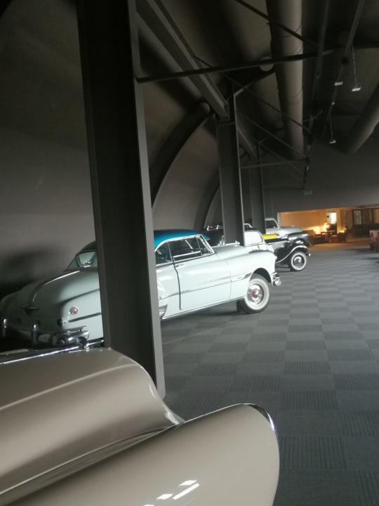 Sonstiges PALOMA Perissia