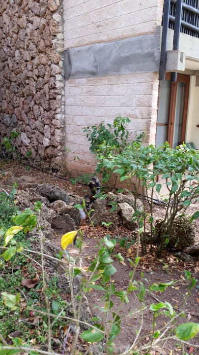 Hotel Baobab Beach Resort Baobab Beach Resort & Spa