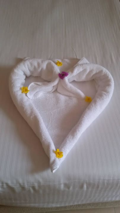 Bei einem Trinkgeld bekommt man eine Überraschung Beach Albatros Resort