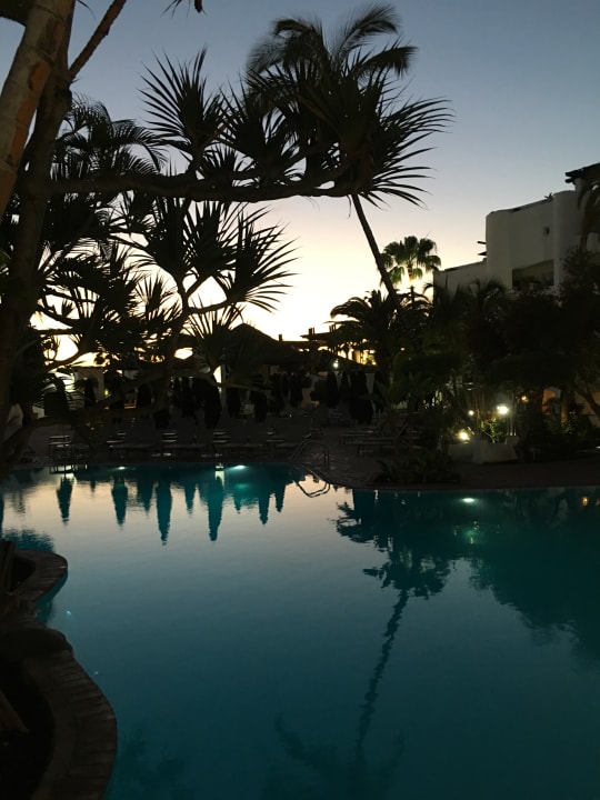 Pool Dreams Jardín Tropical