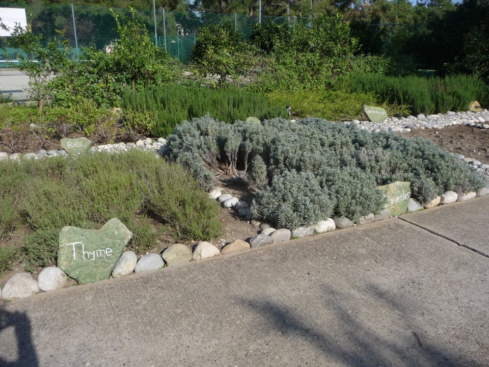 Kräutergarten für die Restaurants Balmy Foresta