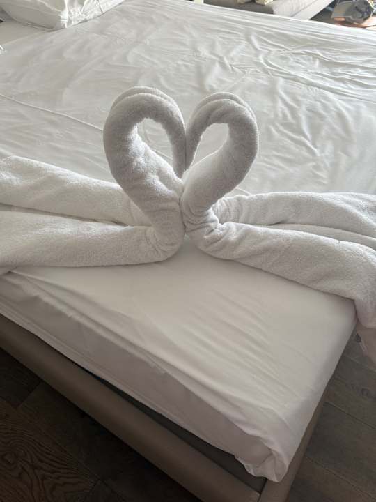 Zimmer Acanthus Cennet Barut Collection