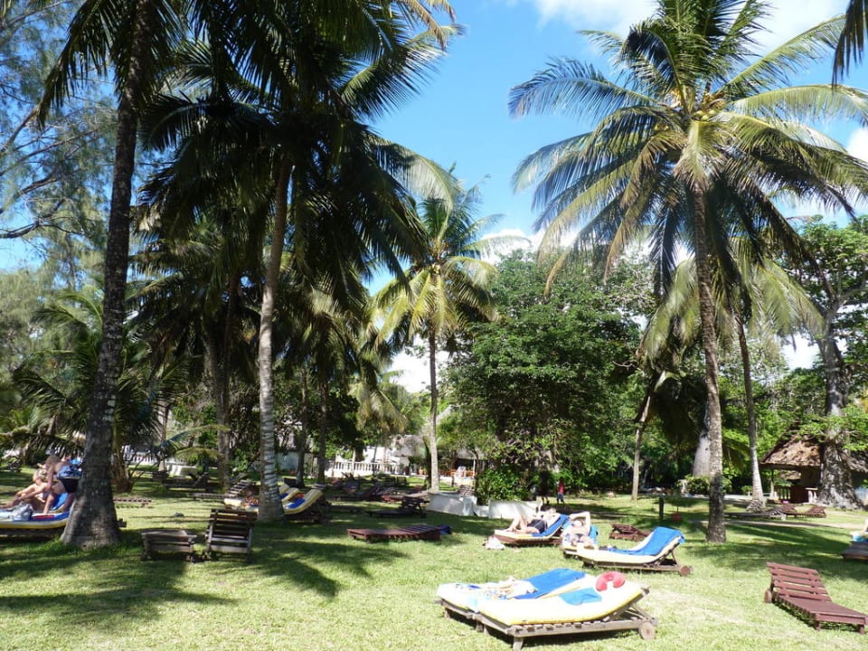 Liegewiese Hotel Papillon Lagoon Reef