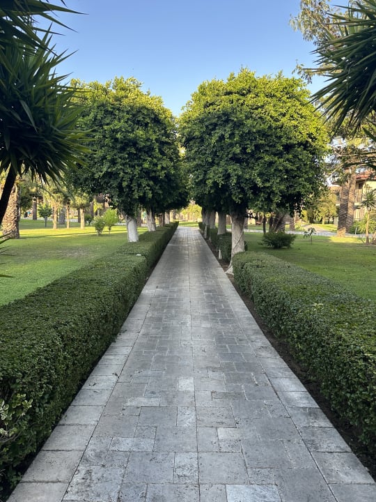 Gartenanlage TUI BLUE Palm Garden
