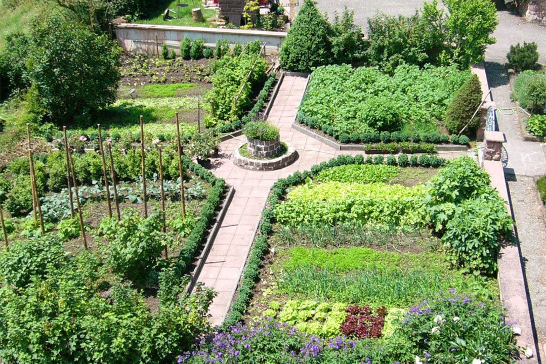 Gemüsegarten Schlosshof - der Urlaubsbauernhof