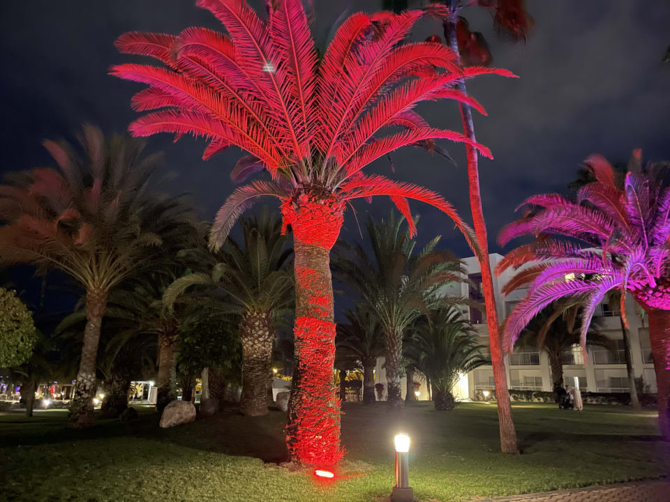 Gartenanlage Hotel Riu Gran Canaria