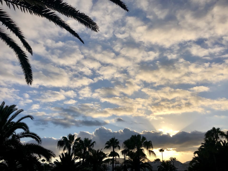 Gartenanlage Hotel Riu Oliva Beach - Hotel