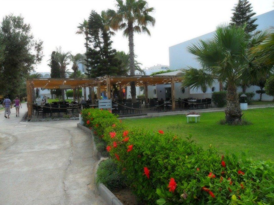 A la Carte Restaurant Thalassa Sousse