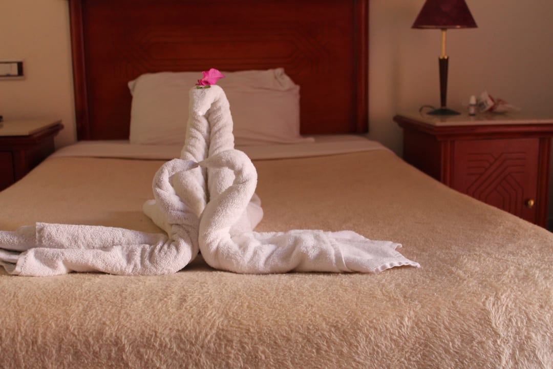 Schwäne Blend Club Aqua Resort