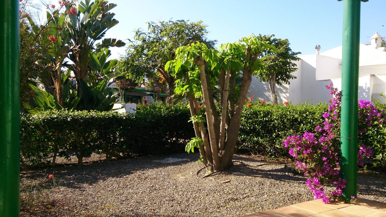 Blick von der Terrasse Bungalows Cordial Sandy Golf