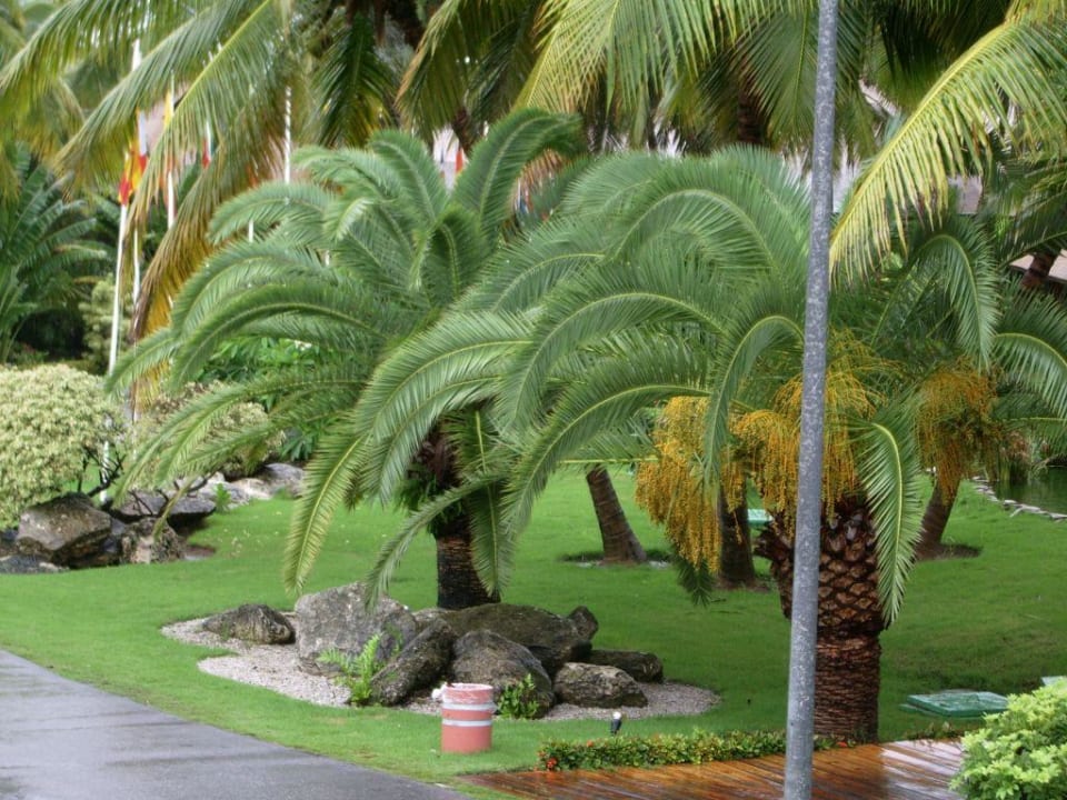 Garten Grand Palladium Select Bávaro Resort & Spa