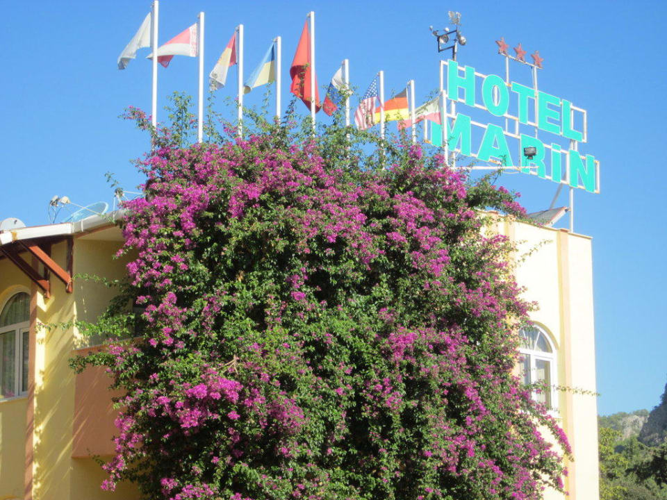 Главный блок Hotel Marin