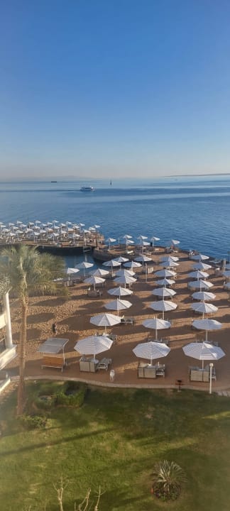 Außenansicht Desert Rose