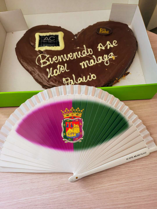 Zimmer Hotel Ac Malaga Palacio