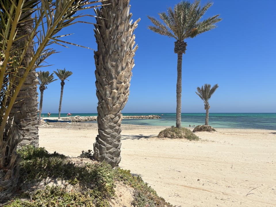 Strand Club Palm Azur